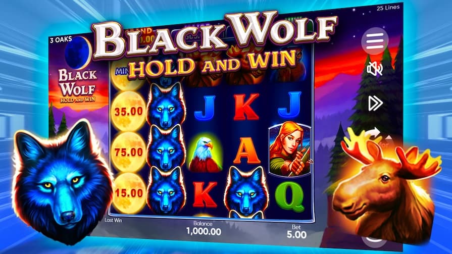 Black Wolf: Hold and Win — обзор слота
