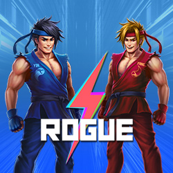 Rogue Games — провайдер казино