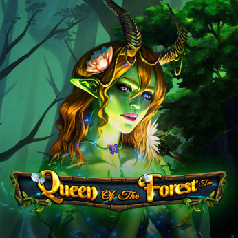 Queen of the Forest — обзор слота