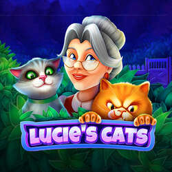Lucie’s Cat — сюжет