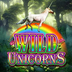 Wild Unicorns — сюжет