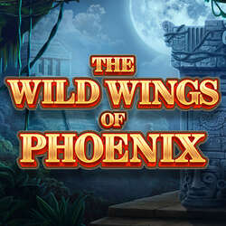 The Wild Wings of Phoenix — сюжет